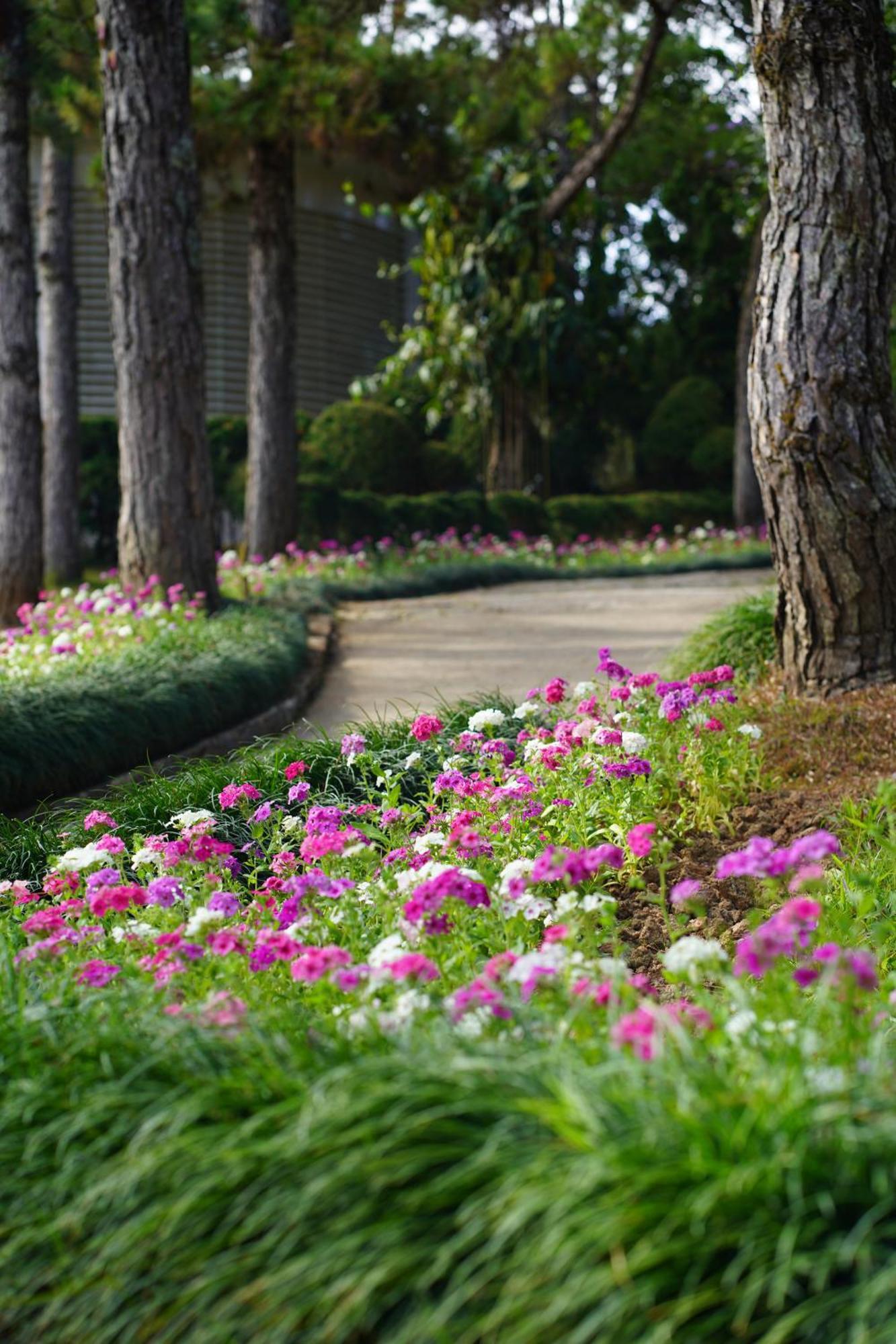 Ttc Dreamy Hill Resort - Unlimited Access To Ttc World - Thung Lung Tinh Yeu Da Lat Exterior foto